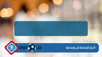 Космолот хозяин: управленческие принципы и стратегия бренда